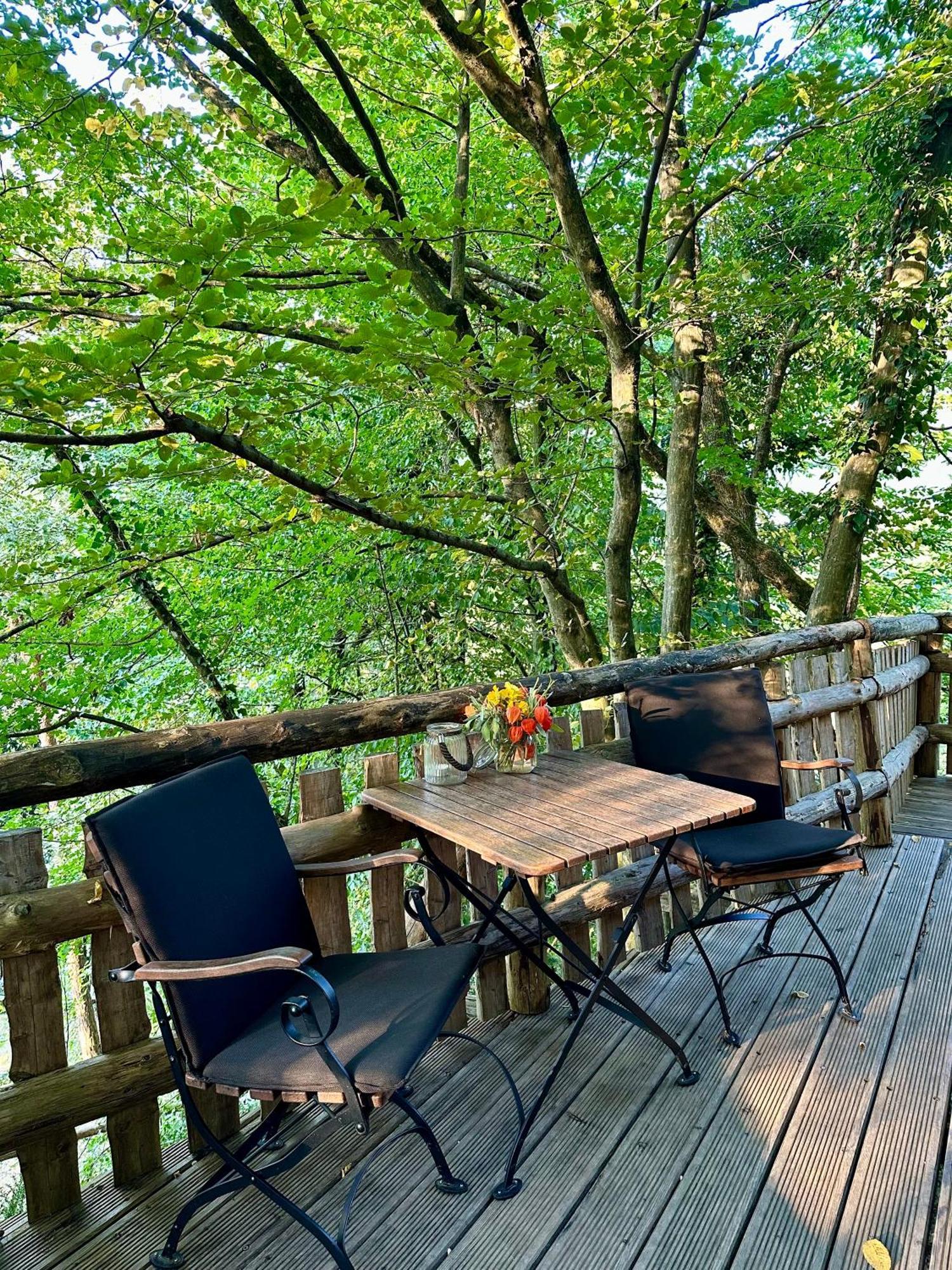 Vakantiepark Glamping Savinja *