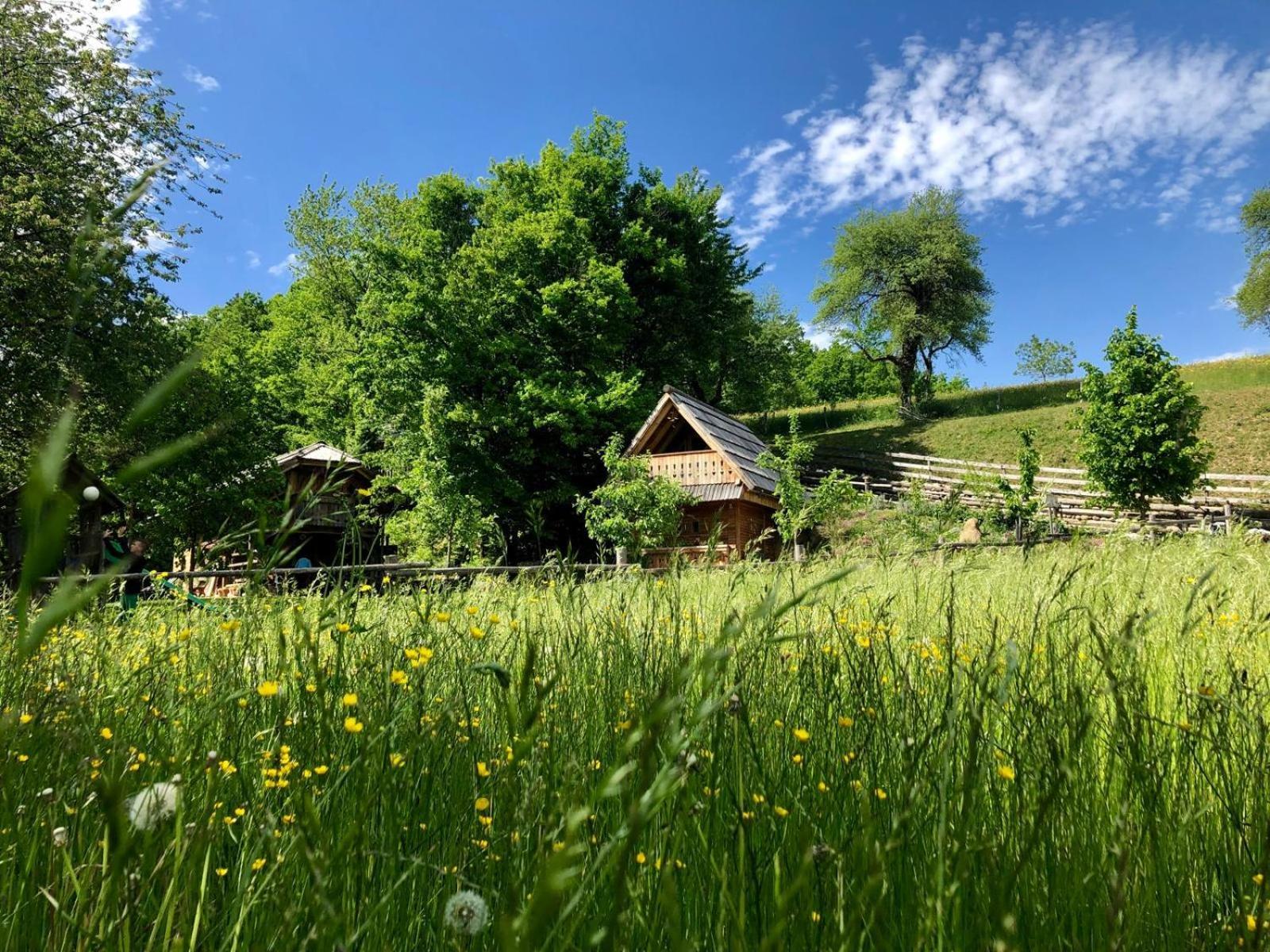 Glamping Savinja Vakantiepark