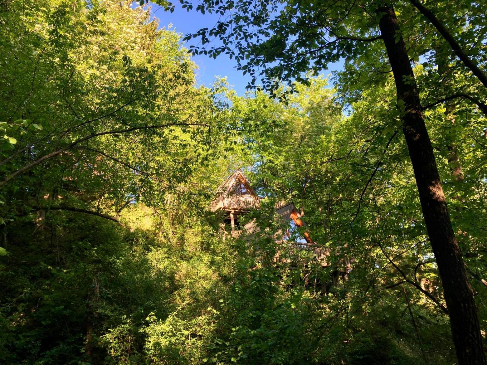 Glamping Savinja Park za odmor *