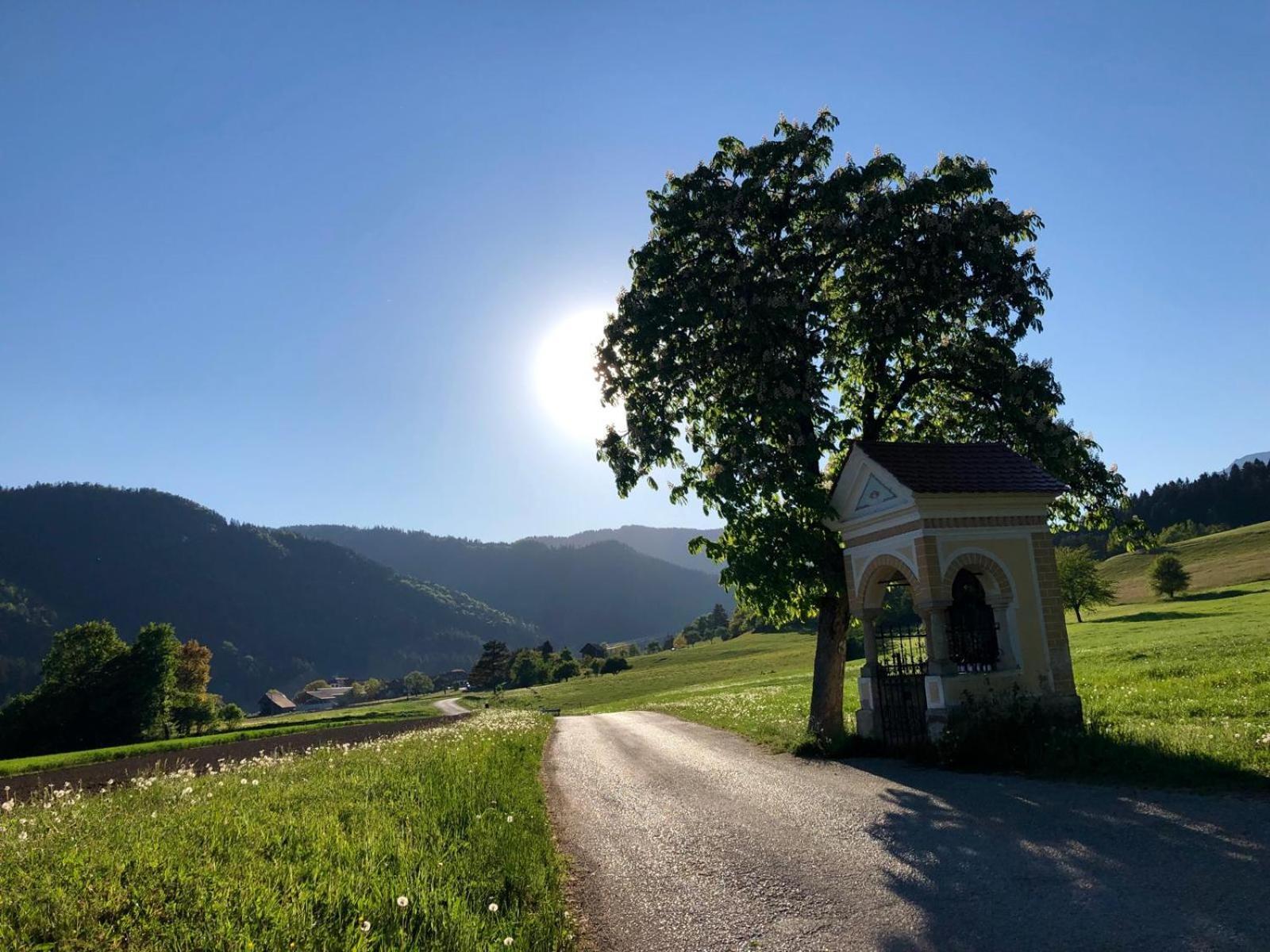 Glamping Savinja Park za odmor Ljubno