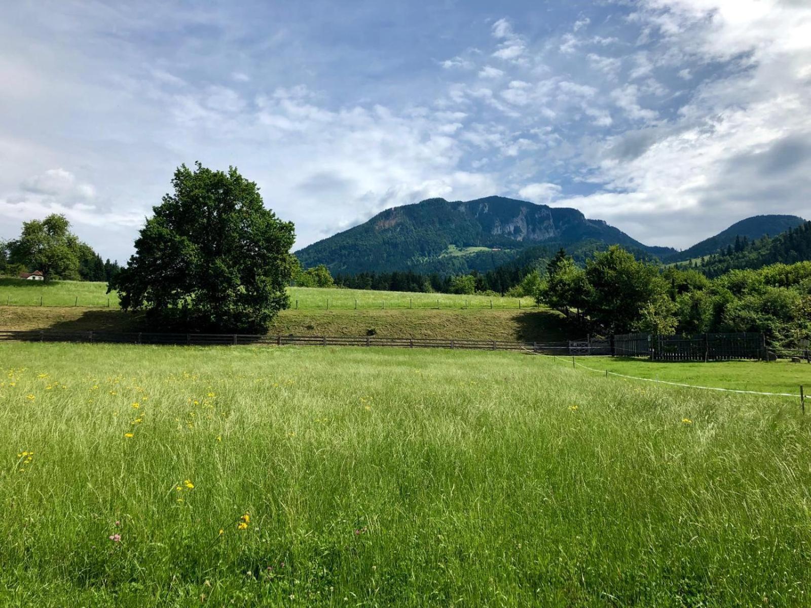Glamping Savinja * Ljubno
